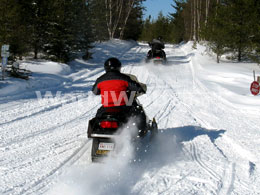 Snowmobiling in the Woods, New Brunswick, Canada
