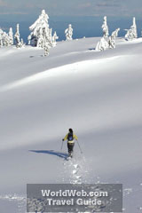 Snowshoeing in Strathcona Park