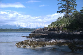 Vancouver Island, BC