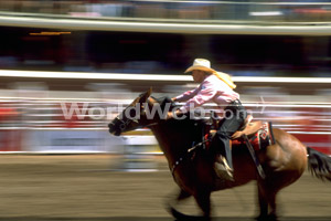 Calgary Stampede