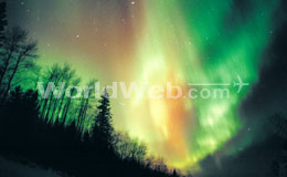 Northern lights near Fort McMurray