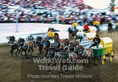 Rangeland Derby Chuckwagon Race