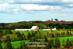 Farm in Truro