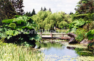 VanDusen Botanical Garden, Vancouver