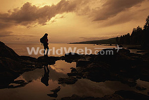 Coast of Vancouver Island