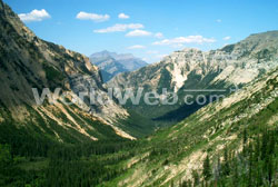 View from the Crypt Lake Trail