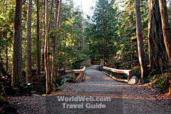 Willingdon beach Trail, Powell 
        River