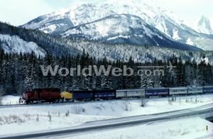 A Train Travels Beneath the Rocky Mountains, AB, Canada
