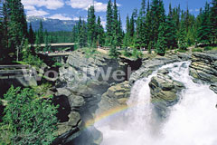 Athabasca Falls