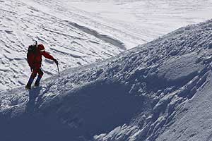 In the Backcountry