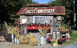 The Sugar Shack Pavilion