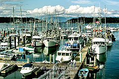 Click here to send this image of Nanaimo's Inner Harbour as a free electronic postcard