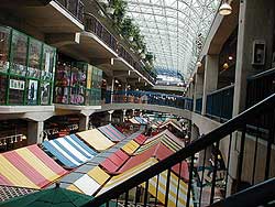North Vancouver Market