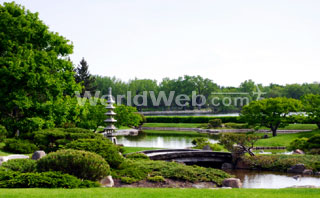 Calming Zen gardens