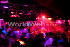 Calgarians Party in a Local Nightclub