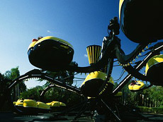 'The Octopus' at the Calgary Stampede