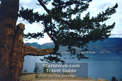 A view of the Okanagan in the summer