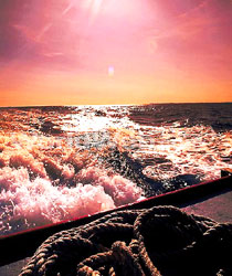Sail the Mighty Lake Ontario