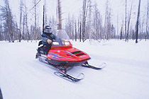 Snowmobiling in Muskoka