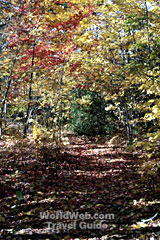 Walk or bike Confederation Trail