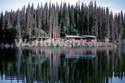 Wilderness Lodge