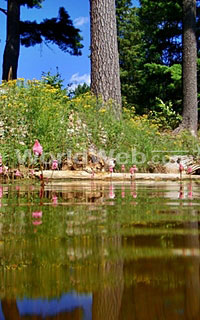 The Yoga Garden, Wakefiled, QC