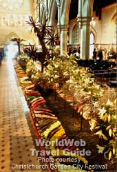 Floral Carpet in Christ Church Cathedral