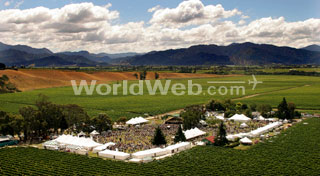 Marlborough Wine Festival