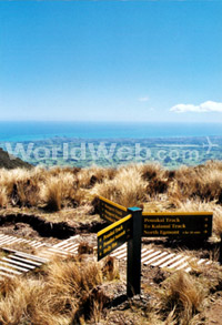 Egmont National Park