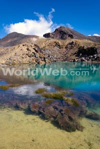 Tongariro National Park