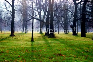 Hyde Park, London