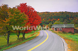 Fall Foliage in New England, Vermont, USA