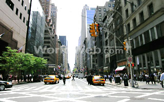 Fifth Avenue