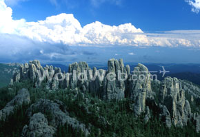 The Black Hills