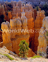 Bryce Canyon National Park, Southern Utah