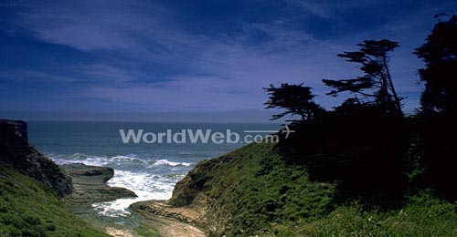 The biologically rich coastline  situated close to one of the largest aquariums in North America