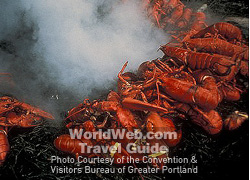 Lobster Caught in Casco Bay