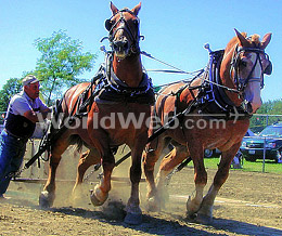 Antique Tractor Pull at Champlain Valley Exposition