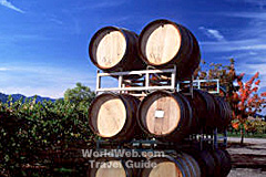 Californian Vineyard