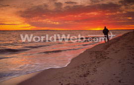 Sunset, Cape Cod