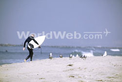 Surfing In Cape Cod