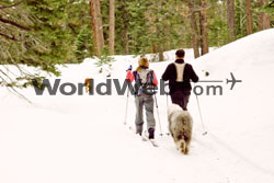Cross-Country Skiing, AZ