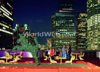 Rooftop lounge at the Standard