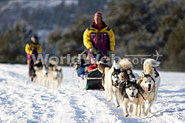 Dog-sledding Tourism at Colorado Ski Resorts, Colorado, USA