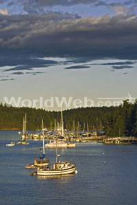 Friday Harbor, San Juan Island