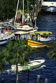 Water Taxis Traverse the Canals