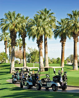 Golf Carts surrounded by Palm Trees, Palm Springs, California, USA