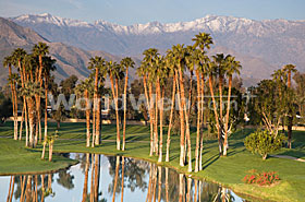 Palm Springs Golf Course, Coachella Valley, California, USA