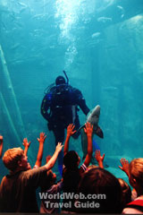 Great Lakes Aquarium