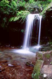 Nature Unleashed